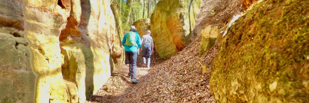 Wandern rund um Neumarkt in der Oberpfalz: Besondere Wanderwege verbinden Stadt und Natur zu einem einzigartigen Herbst-Urlaubsgenuss ©Tourismusverband Ostbayern/R. Seitz