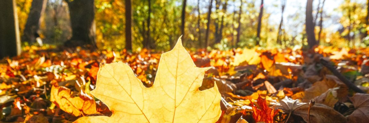 24-Autohof Leipzig Flughafen