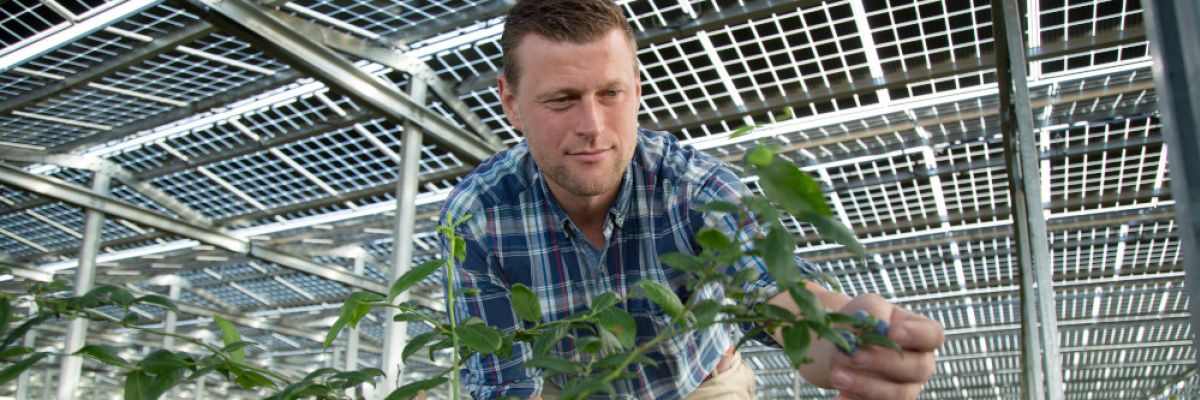 Denn das Dach besteht nicht aus Glas oder Plastik, sondern aus Photovoltaik(PV)-Modulen