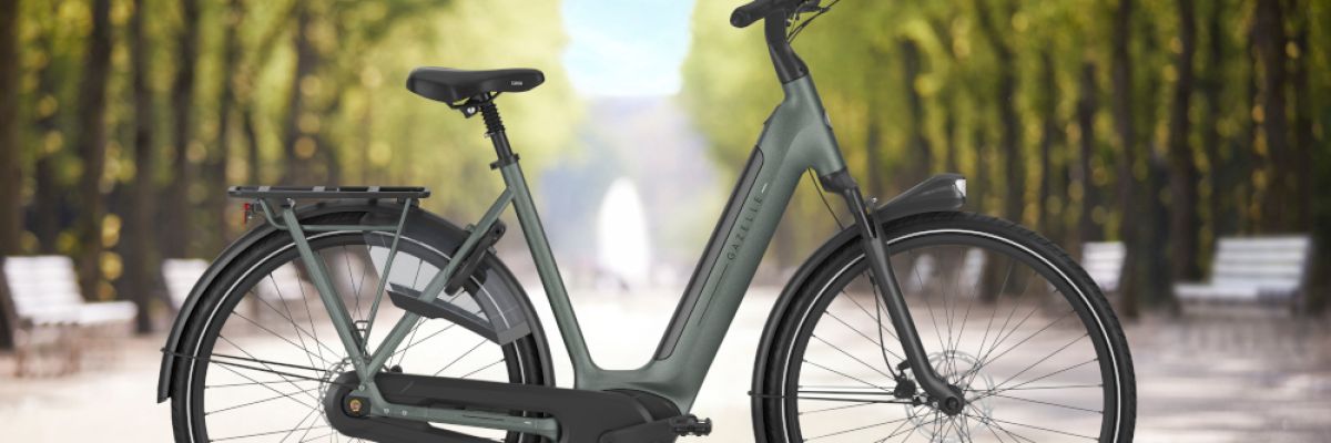 Gazelle Arroyo C8+ Elite