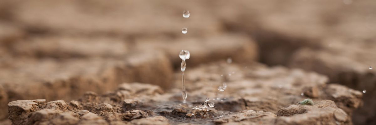 Die Regenmengen reichen bisher nicht aus, um die Trockenheit zu besiegen ©WetterOnline