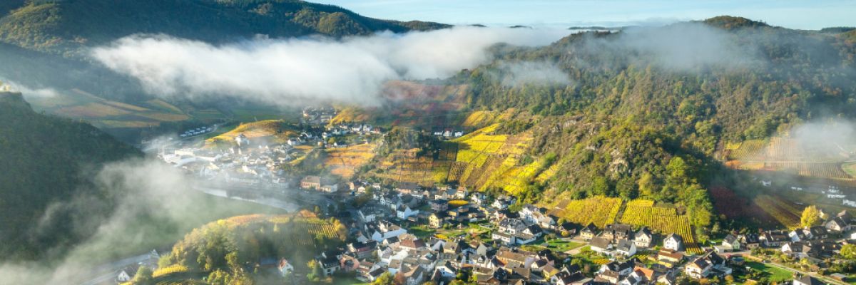 Blick auf Mayschoß