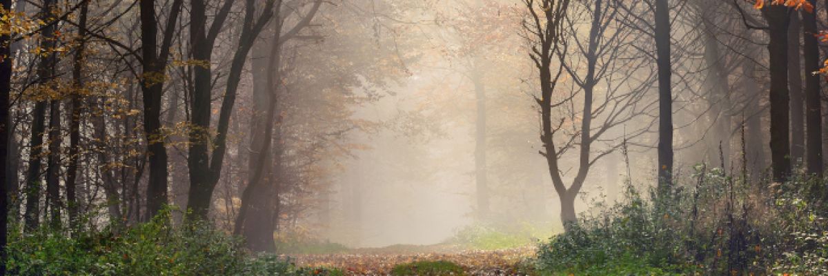 Die Wetterküche hat zwei Menüs im Angebot: Frühwinter mit regionalem Flockenrieseln oder Dauergrau. ©WetterOnline