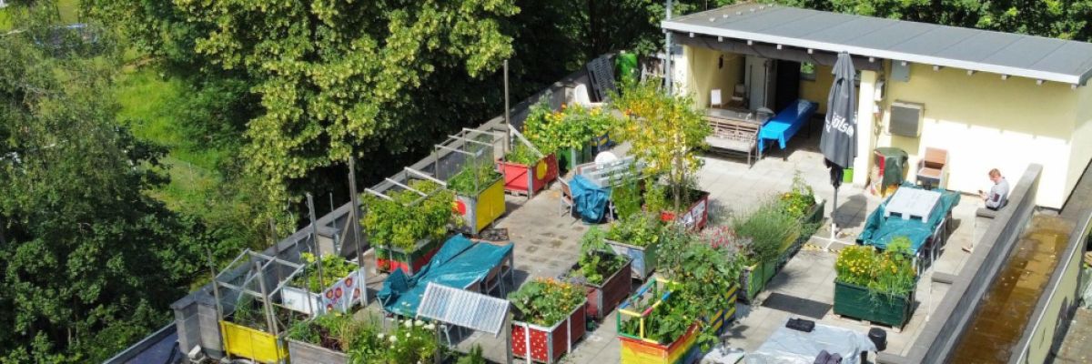 Nachhaltiger Dachgarten