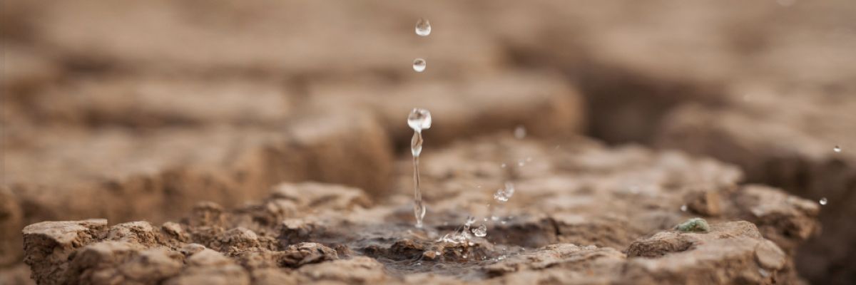 Das Ziel des Pariser Klimaabkommens wird voraussichtlich bereits 2030 überholt. Die Maßnahmen zum Klimaschutz sind bisher eher „ein Tropfen auf den heißen Stein“.