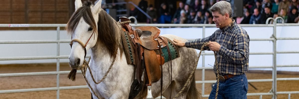 Bernd Hackl, der bekannte Pferdetrainer der Erfolgsserie „Die Pferdeprofis“