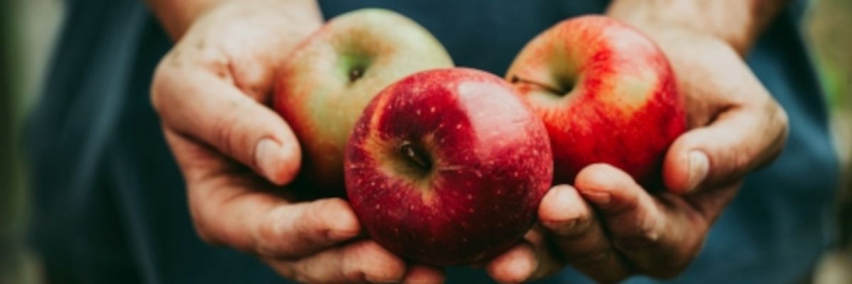 Äpfel ©Adobe Stock