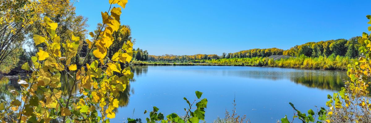 Blauer Himmel und strahlender Sonnenschein werden auch in den kommenden Tagen kaum von einem Wölkchen getrübt