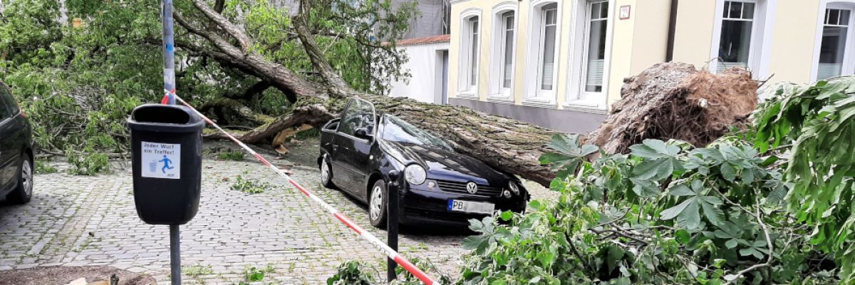 Auto von Baum getroffen ©Gerald Kaufmann