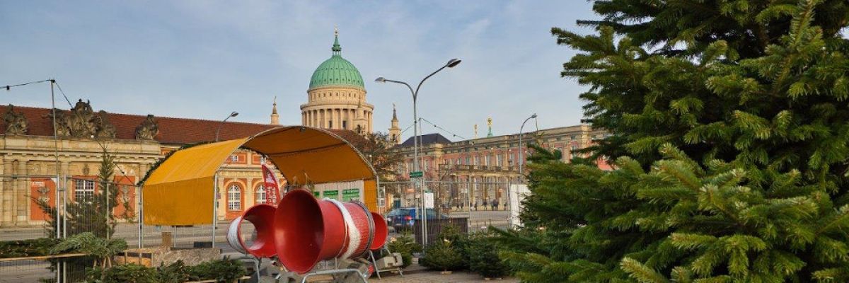  Mit Frischluft und ausreichend Platz zum Einhalten des Mindestabstands gelingt auch in diesem Jahr der sichere Verkauf von Weihnachtsbäumen. ©Werderaner Tannenhof