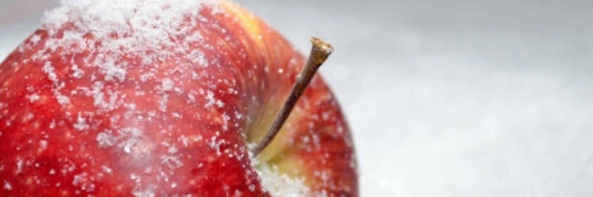 roter Apfel im Schnee