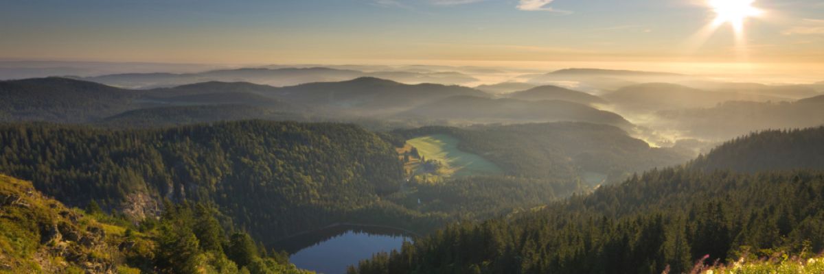 Blick auf den Feldsee©Hochschwarzwald Tourismus GmbH