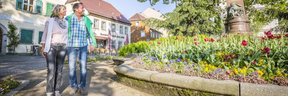 Auf dem stadtökologischen Lehrpfad, der auf einer Idee der lokalen Umweltgruppe Agenda 21 beruht und sich auch als geführte Radtour erkunden lässt, folgen in Weiden Naturinteressierte den Spuren alter Baumriesen wie den mächtigen Eichen und den beeindruckenden Kopfweiden. Foto: TVO/Thomas Kujat