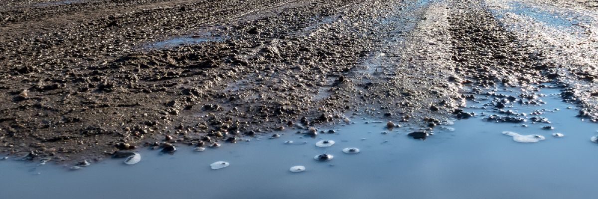 Durch den nassen Herbst sind die Böden aktuell in den obersten Schichten gesättigt.