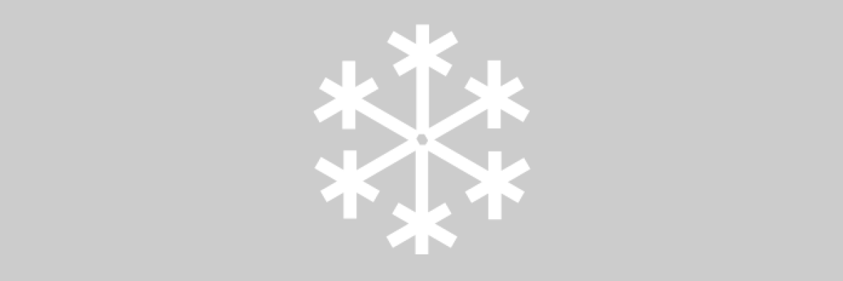 Schneeflocke ©Gerald Kaufmann