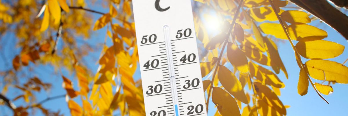 Zu Beginn der kommenden Woche steigen die Temperaturen regional noch einmal auf knapp 25 Grad an. 