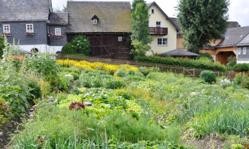 Nachhaltig gärtnern: Gartenbauexperte klärt auf