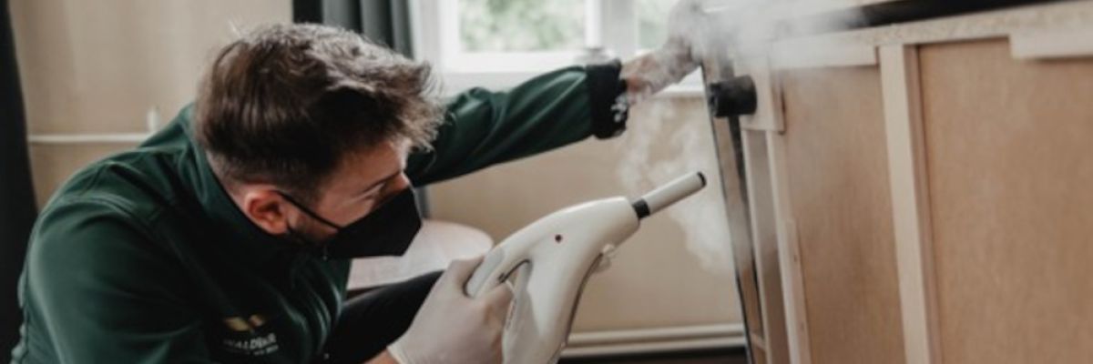 Keine Chance für Bettwanzen: An der Waldemar Europe Academy in Lübben/Spreewald werden ab April 2023 die Profis der Bettwanzenbekämpfung aus- und weitergebildet – in Praxis und Theorie. Waldemar-Experte Waleed Al Awamleh ist bereits erfolgreich im Einsatz: mit 200 Grad Celsius heißem Wasserdampf 