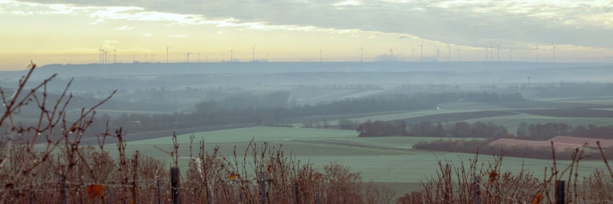 Ab der Wochenmitte wird das Wetter mit Regen und Sturm richtig ungemütlich ©WetterOnline 