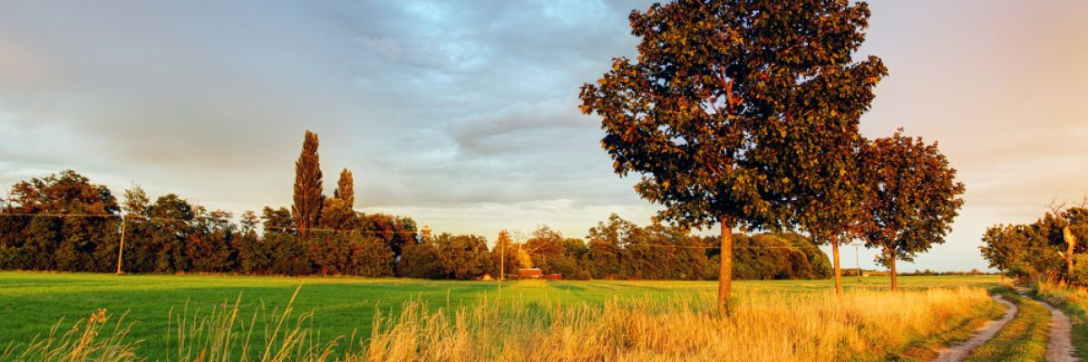 Eine Zwischenbilanz zeigt, dass der Sommer 2023 rein meteorologisch betrachtet bisher gar nicht so unsommerlich war ©Shutterstock 