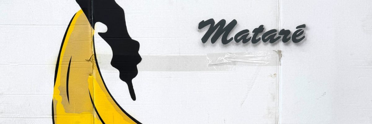 "Mataré", 2025,