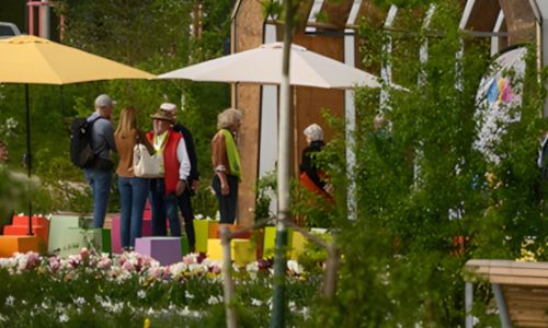Heiraten auf der Landesgartenschau – am ‚Traumdatum‘ des Jahres