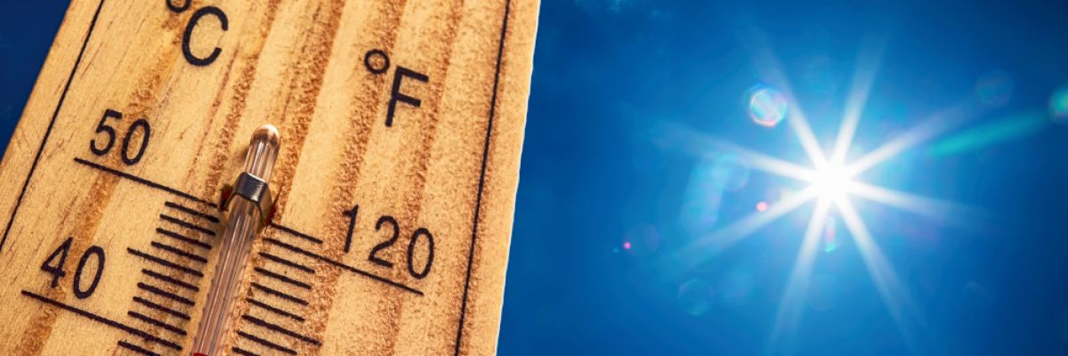 Laut einer Attributionsstudie ist bereits alle 10 Jahre mit einer vergleichbaren Hitzewelle wie 2018 zu rechnen. ©WetterOnline 