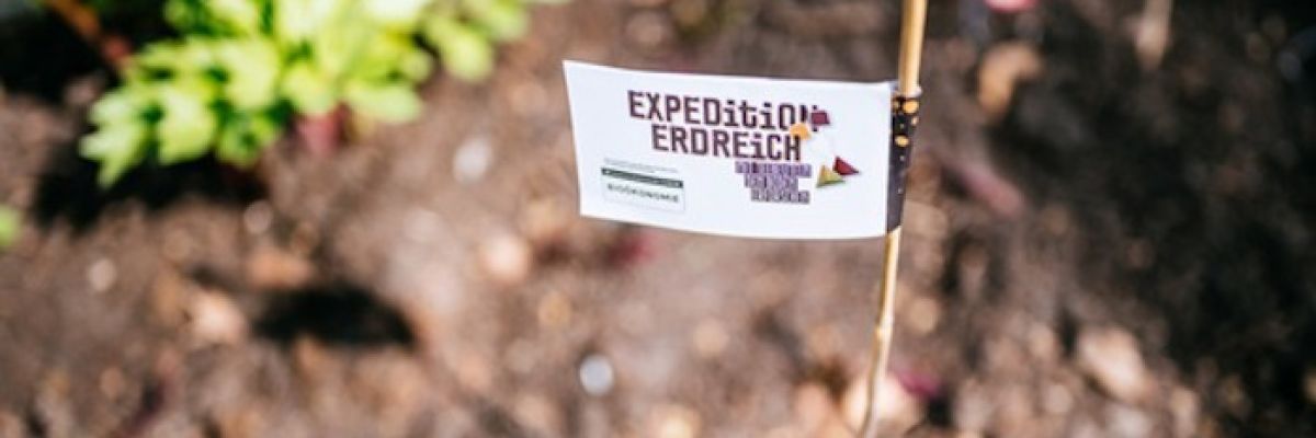 Das Ausgraben kann beginnen: Kleine Fähnchen helfen dabei, die Standorte der vergrabenen Teebeutel wiederzufinden und die Expedition ins Erdreich fortzusetzen ©BMBF / Expedition Erdreich 