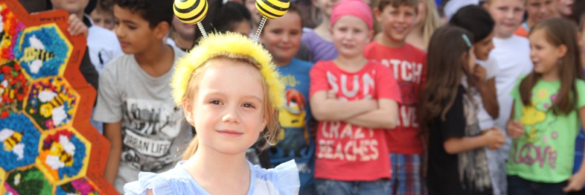  Der Bienenkoffer begeistert Kinder für die Welt der Bestäuberinsekten.