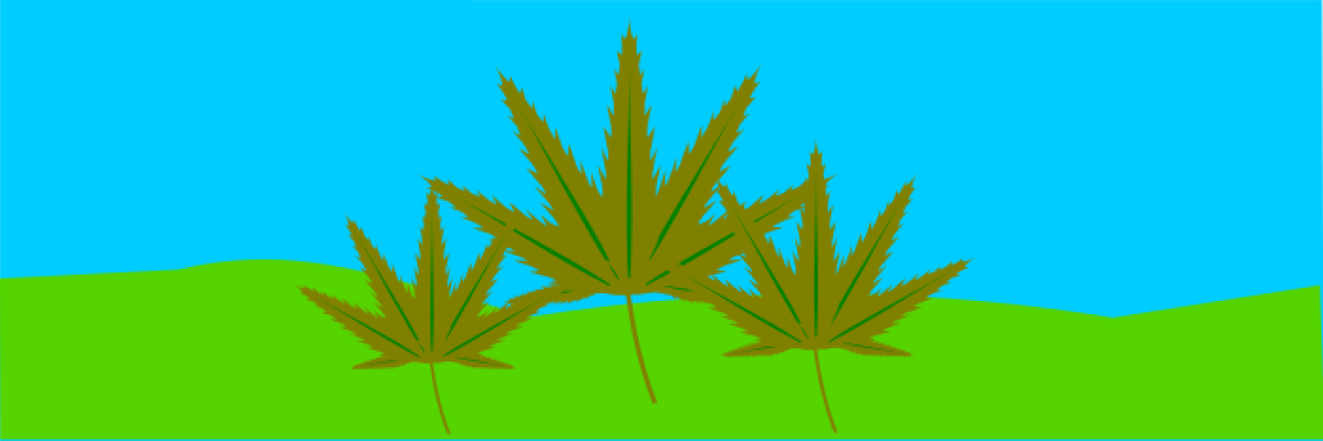 Cannabis - Gefahr für Verkehr! ©Gerald Kaufmann