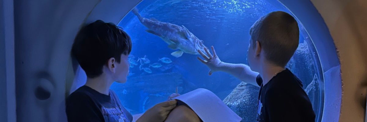 Das SEA LIFE Berlin sucht Kinder aus Berlin und Umgebung