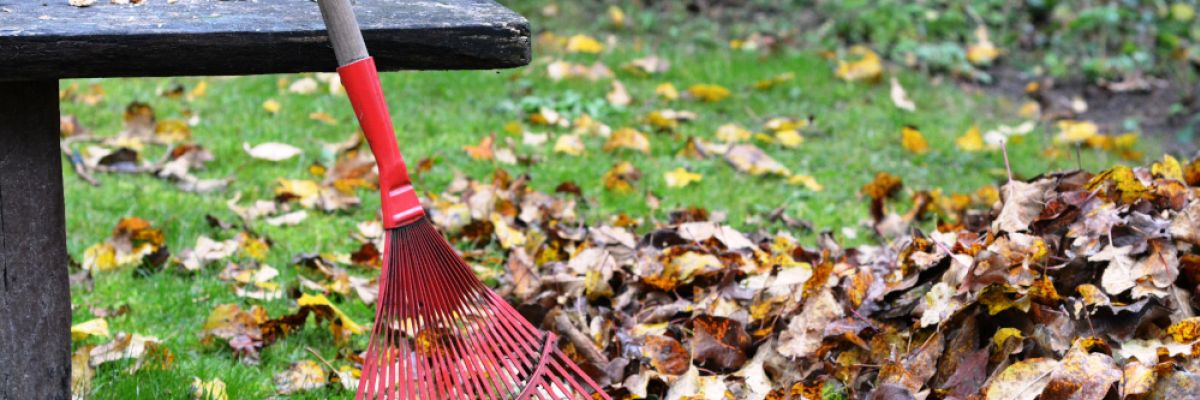 Damit Gartengeräte die Winterpause gut überstehen, sind einige Dinge zu beachten. ©utroja0/Pixabay 