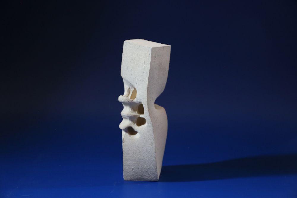 Angriffe auf die Demokratie, Rassismus und Antisemitismus