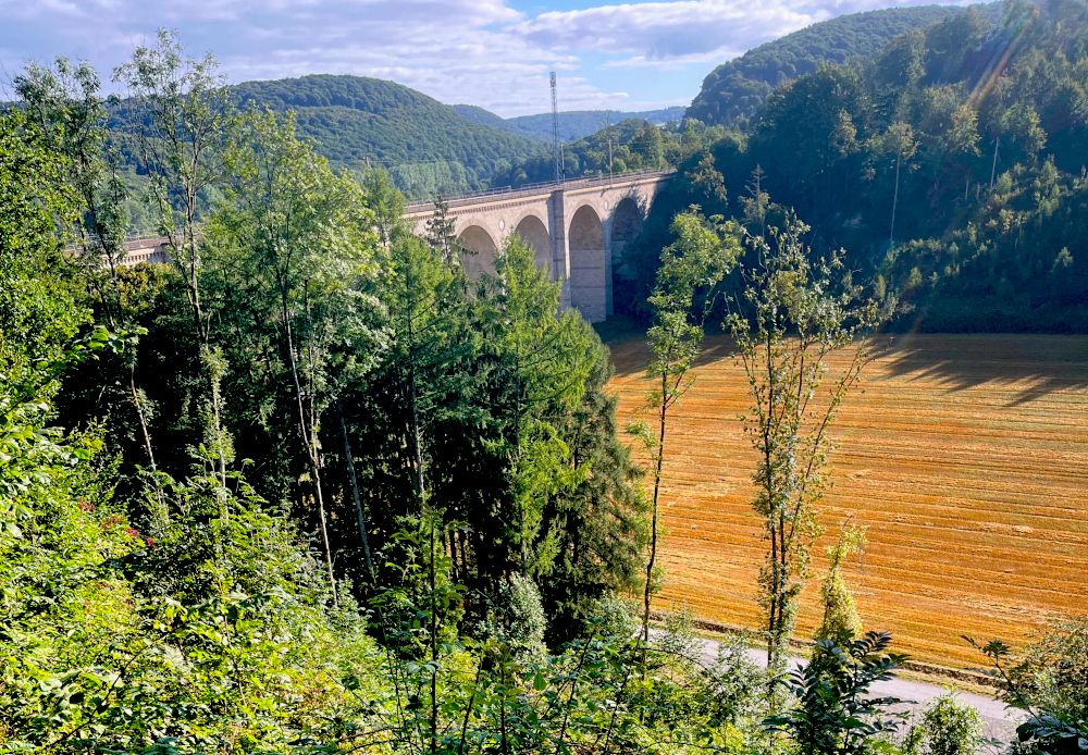 61 Bäume für Bestnoten