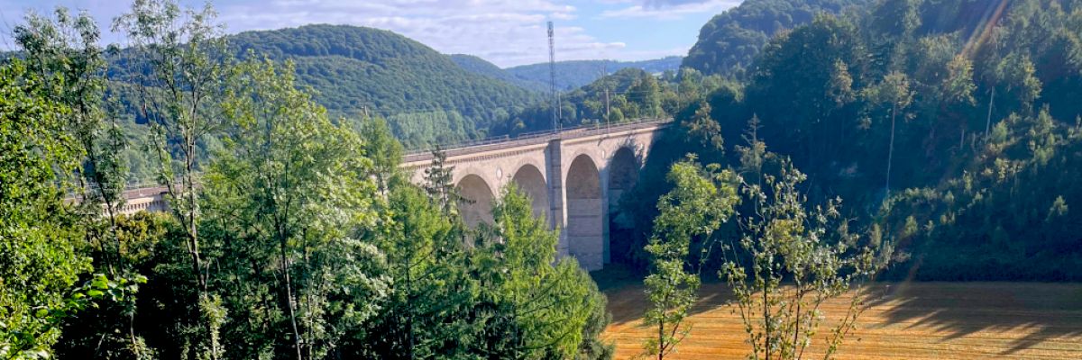 Die Fläche für die Baumpflanzung befindet sich bei Neuenbeken