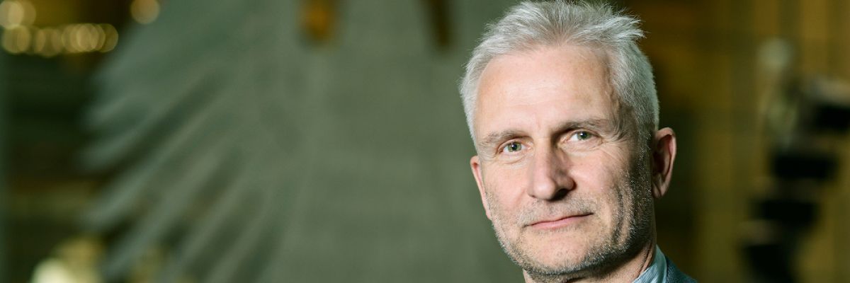 Zickenheiner Wahlrechtsreform