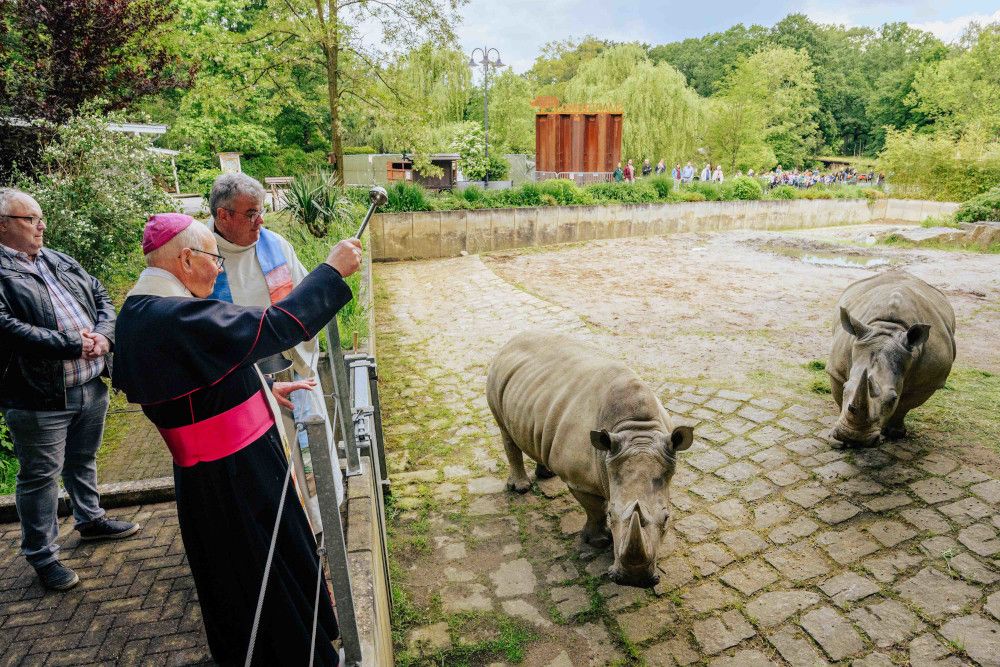 Über 400 Grundschulkinder beim Aktionstag „Tiere der Bibel“ im Zoo Dortmund