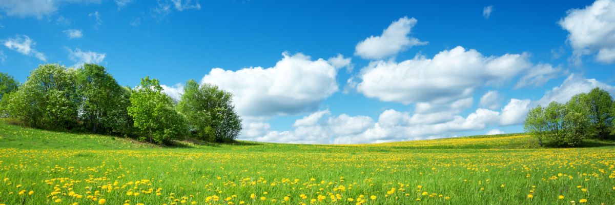  	 Zu den Eisheiligen in der nächsten Woche könnte es einen ersten Vorgeschmack auf den Frühsommer geben. Die 25-Grad-Marke rückt in greifbare Nähe ©WetterOnline 